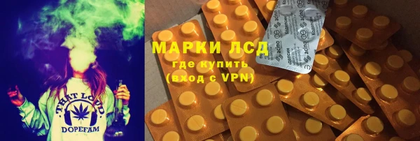 mdpv Вяземский