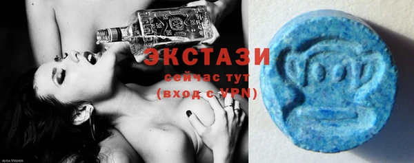 mdpv Вяземский