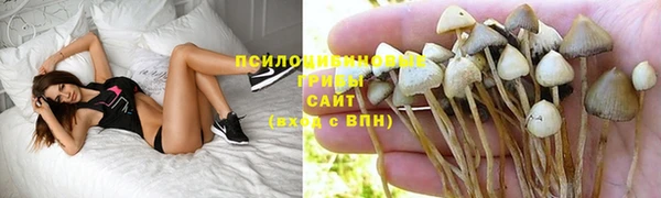 mdpv Вяземский
