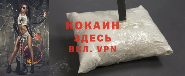 сатива Волоколамск