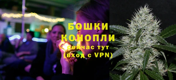 mdpv Вяземский