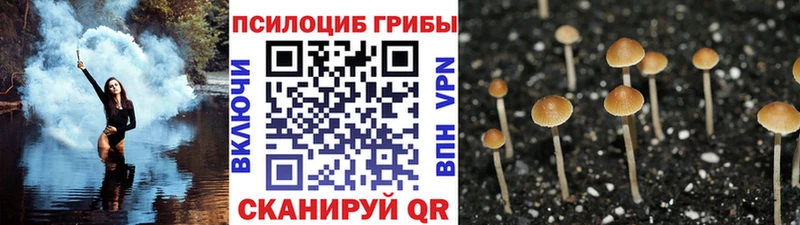 Галлюциногенные грибы GOLDEN TEACHER  даркнет сайт  Долинск 